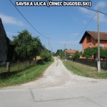 Savska ulica (Črnec Dugoselski)